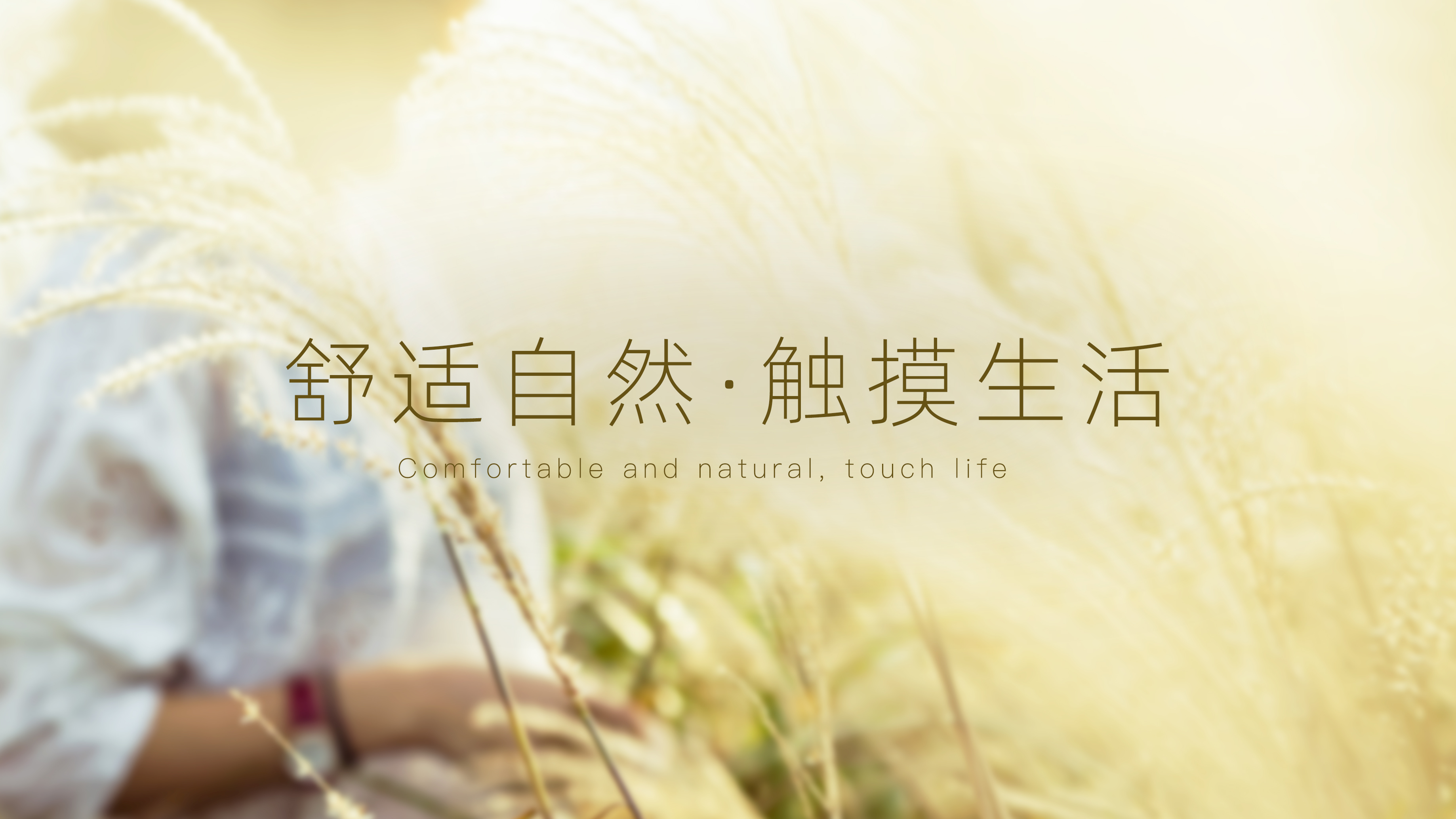 AG娱乐手机版网站